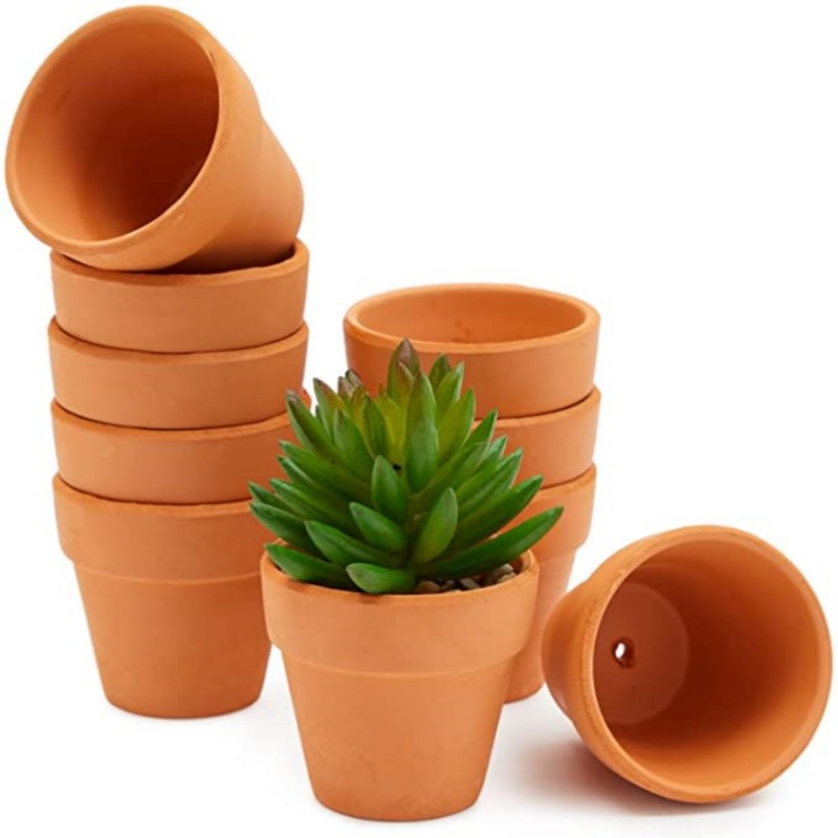 Cactus Mix Pot - 16 قطعة 1.8 بوصة أواني تيرا