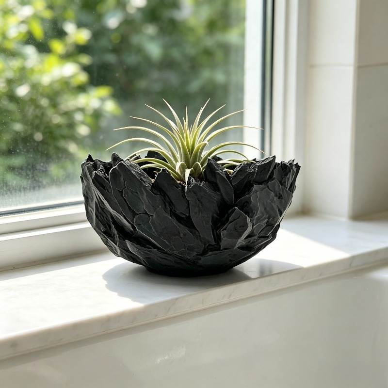 Cactus Mix Pot - وعاء نباتات كبير بقطر واسع، بتصميم