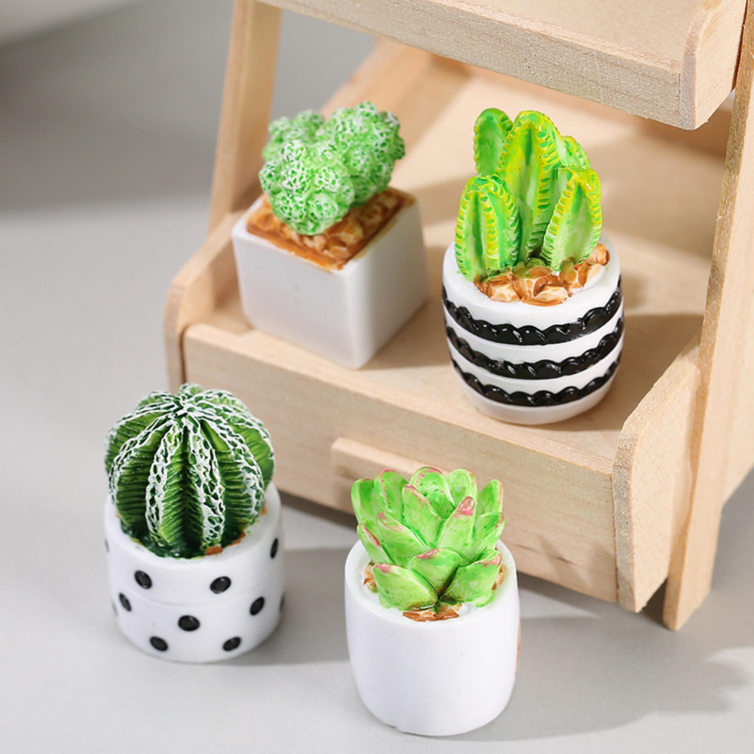 Cactus Mix Pot - مجموعة من 4 قطع من نباتات