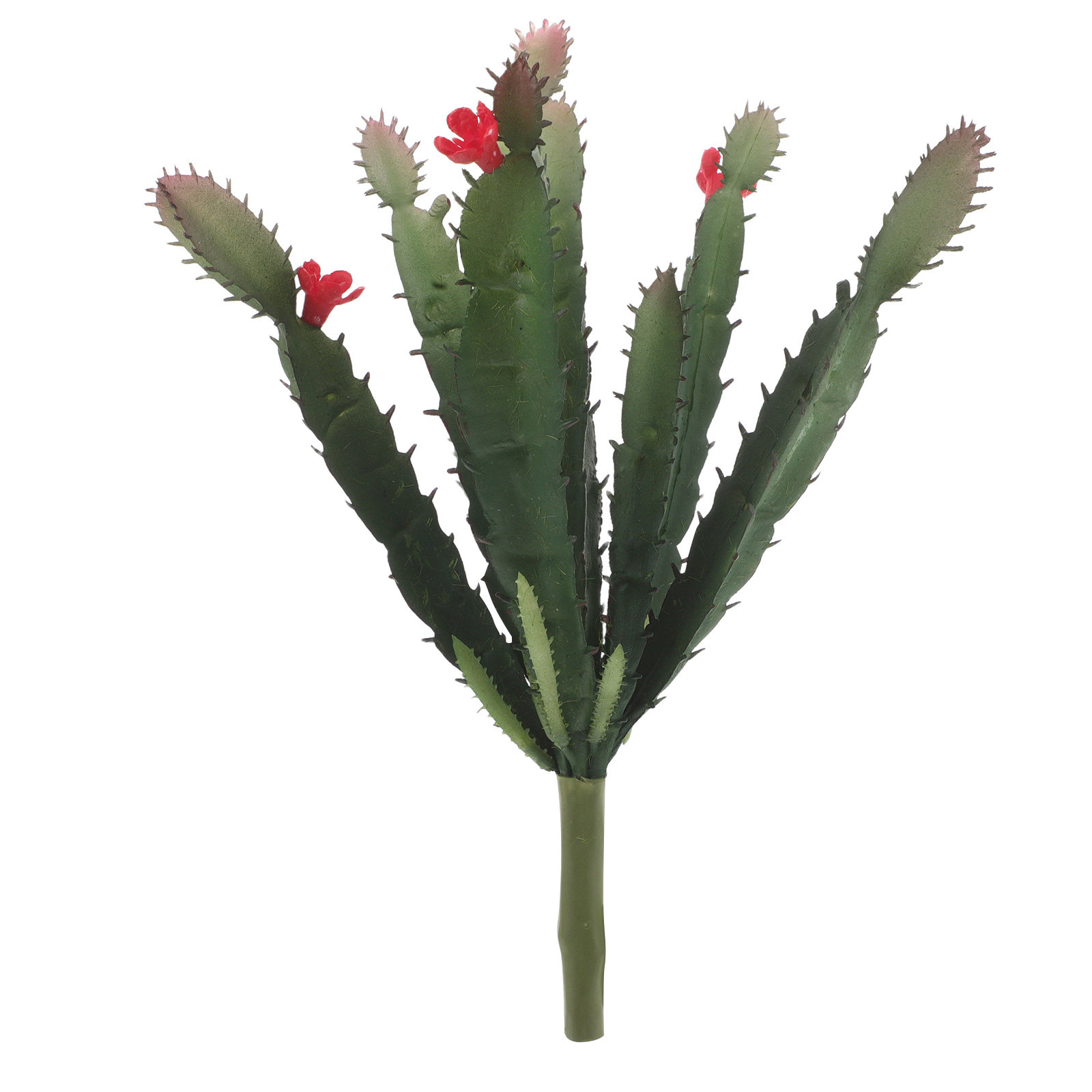 Succulent Arrangement Mini - مجموعة نباتات صبار صناعية صغيرة واقعية،