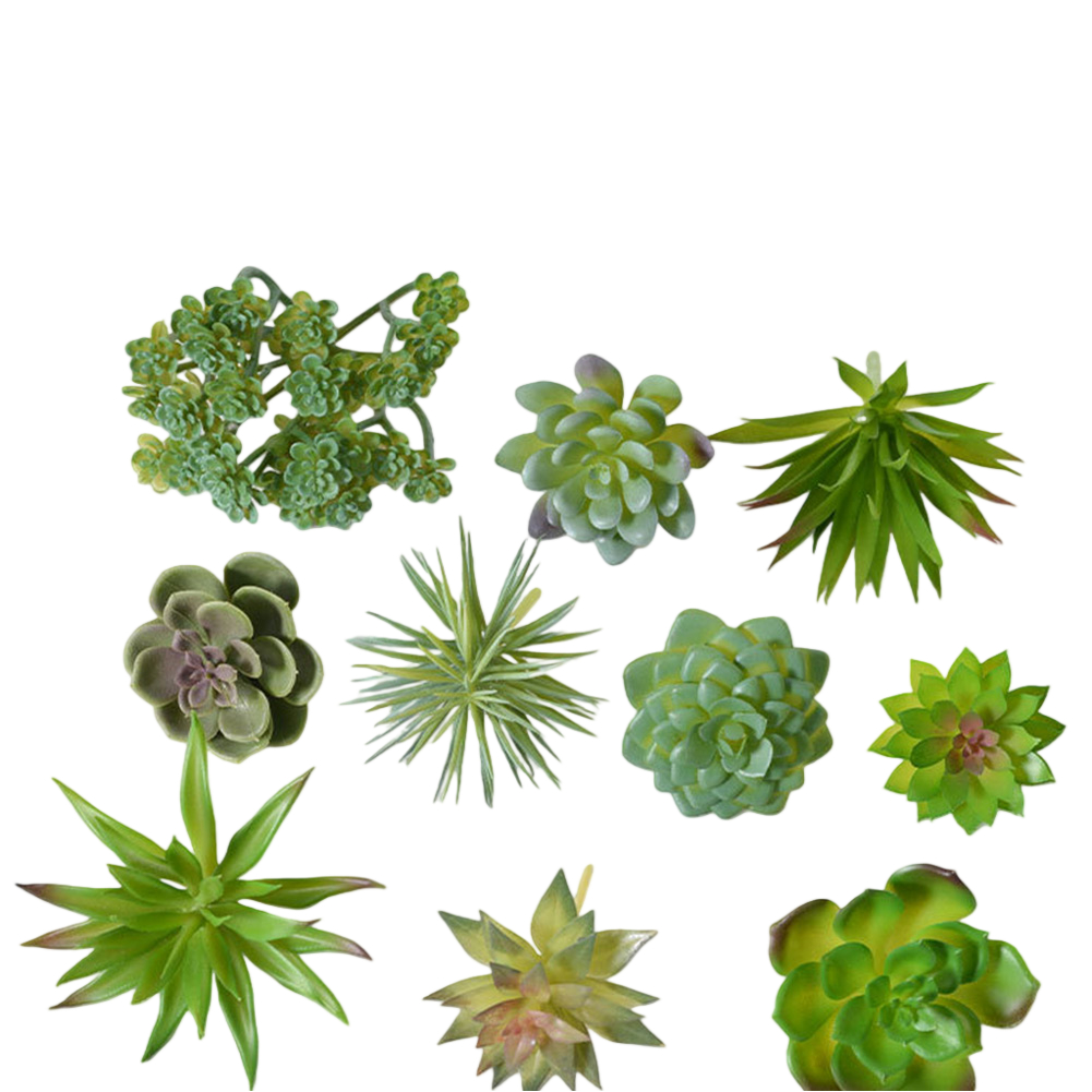 قطعة مركزية للطاولة مصنوعة من  - مراجعة Succulent Arrangement Mini وسعره