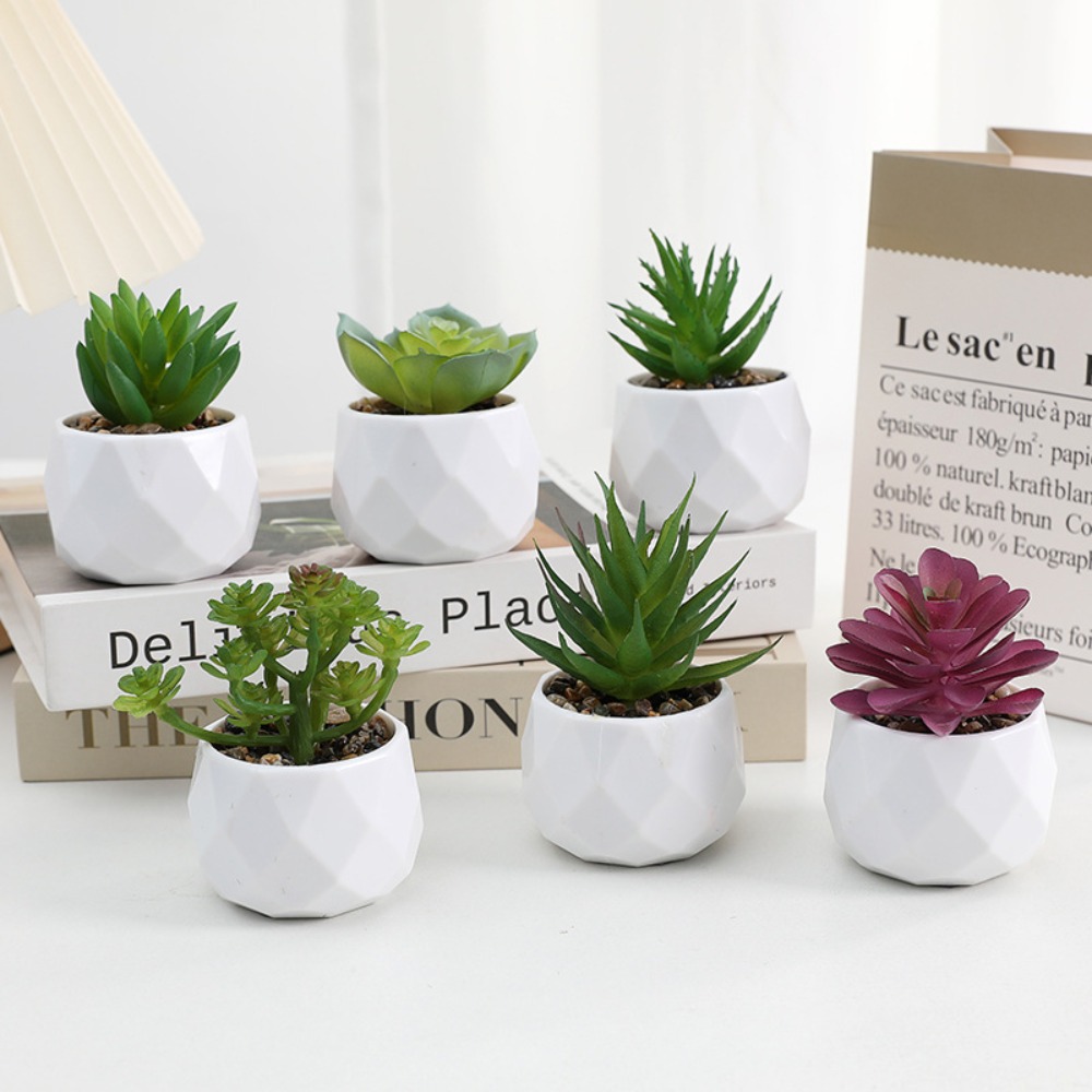 نباتات صبار اصطناعية دائمة الخ - مراجعة Cactus Mix Pot وسعره