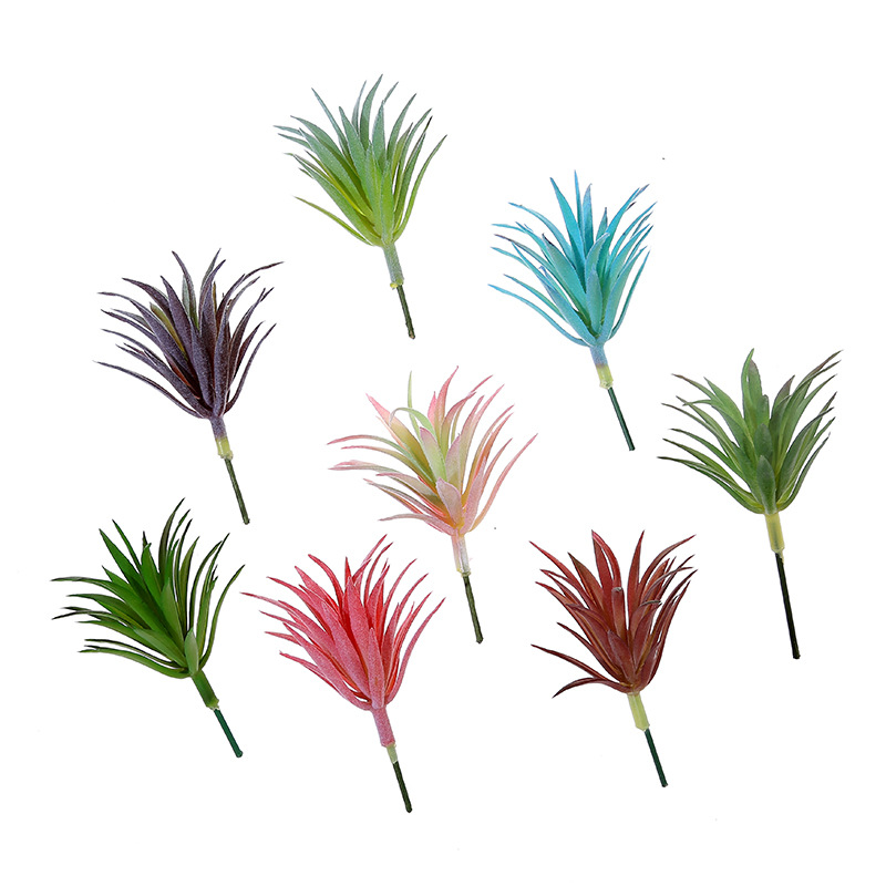 مكيف هواء وصبار صغير من الراتي - مراجعة Cactus Mix Pot وسعره