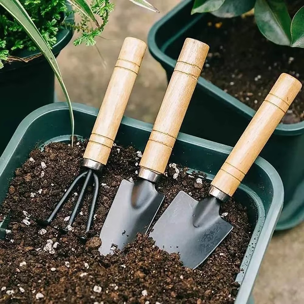 مجموعة أدوات حدائق صغيرة مكونة - مراجعة Cactus Mix Pot وسعره