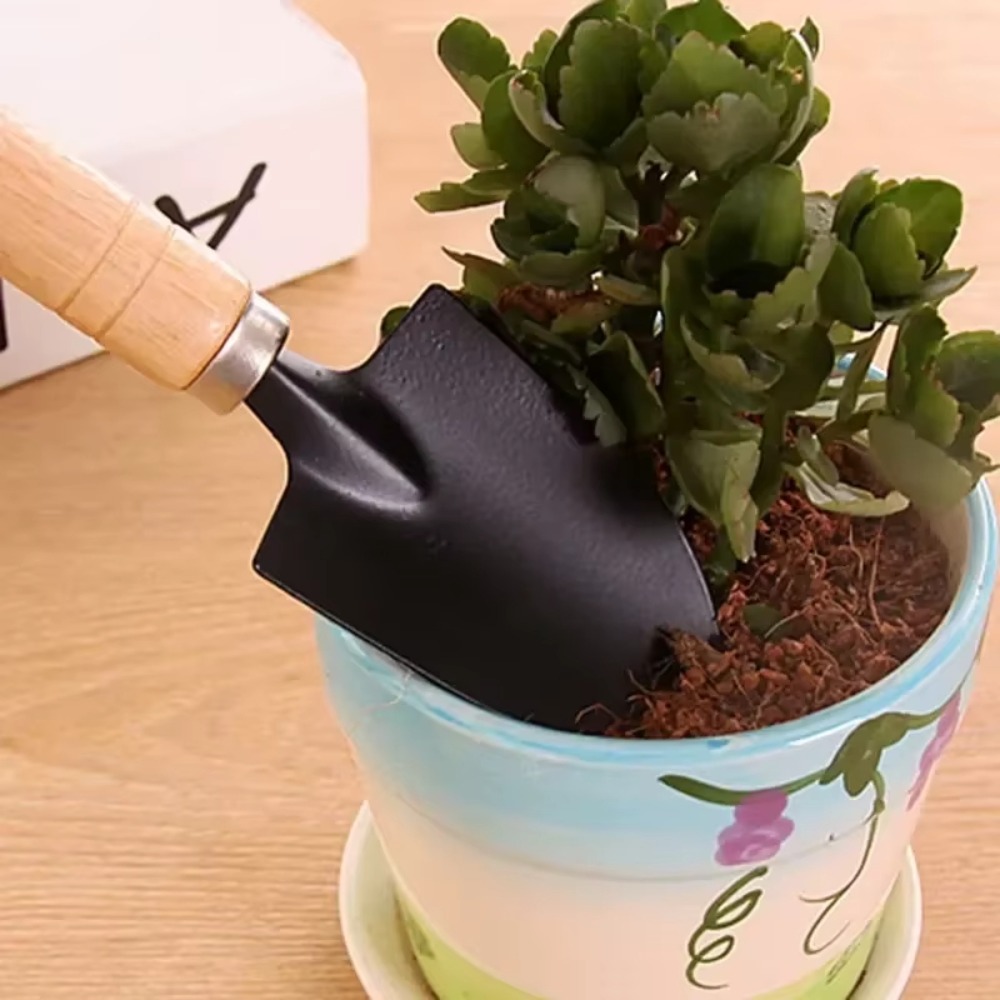 مجموعة أدوات حدائق صغيرة مكونة - مراجعة Cactus Mix Pot وسعره