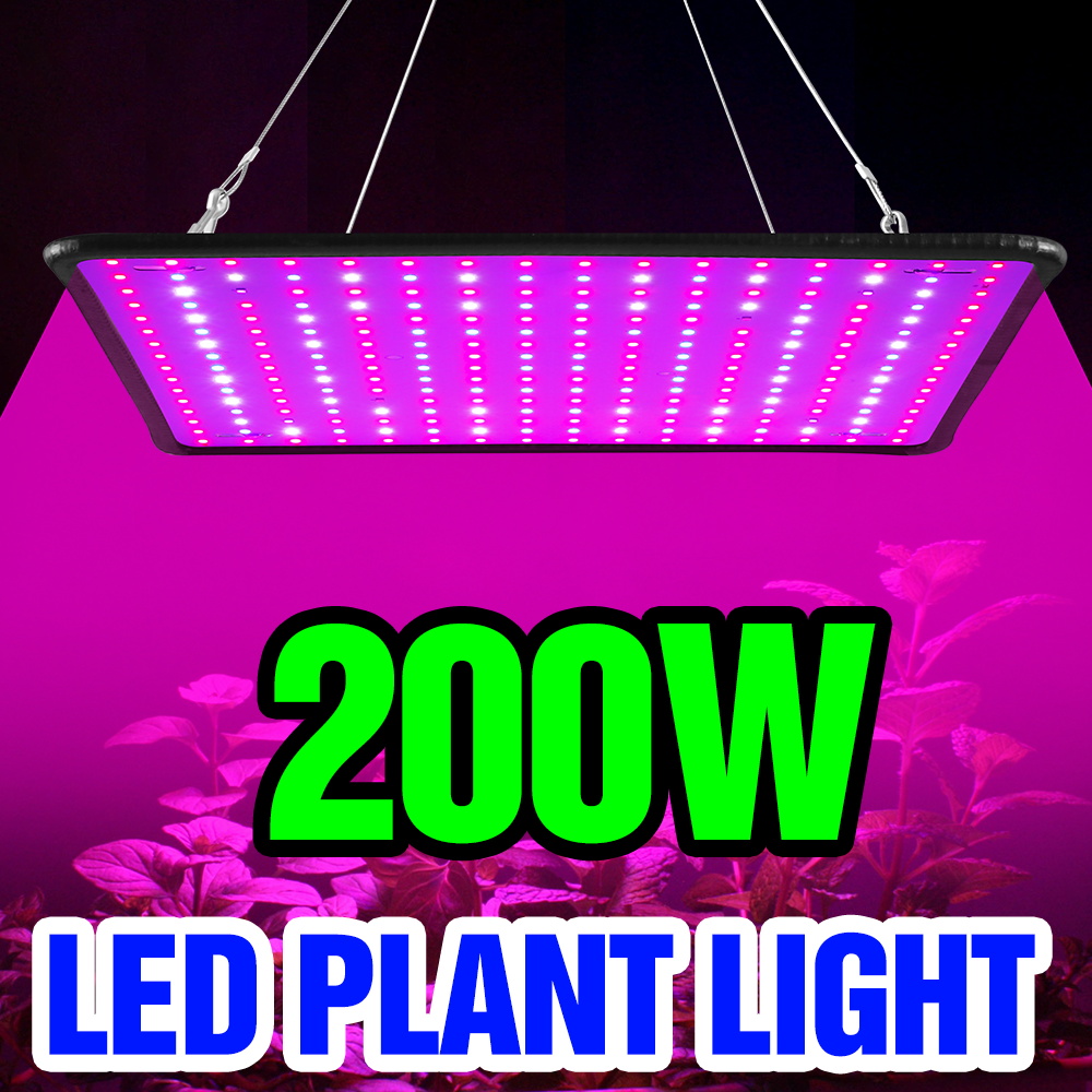 مصباح نمو نباتات LED كوانتم بو - مراجعة Cactus Mix Pot وسعره