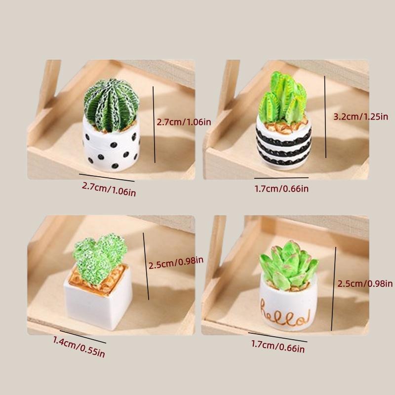 مجموعة من 4 قطع من نباتات الصب - مراجعة Cactus Mix Pot وسعره
