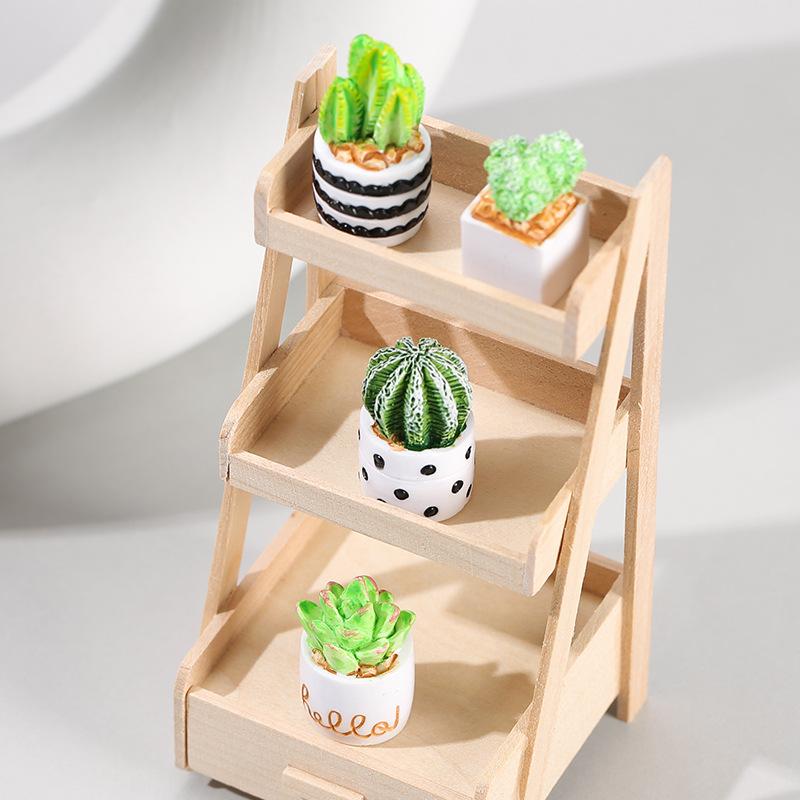 مجموعة من 4 قطع من نباتات الصب - مراجعة Cactus Mix Pot وسعره