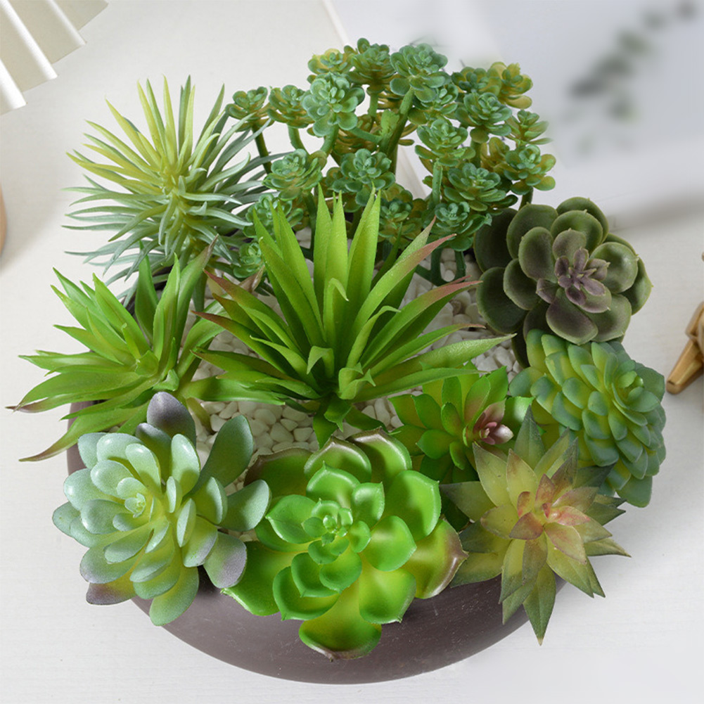 ترتيب نباتات عصارية اصطناعية ب - مراجعة Succulent Arrangement Mini وسعره