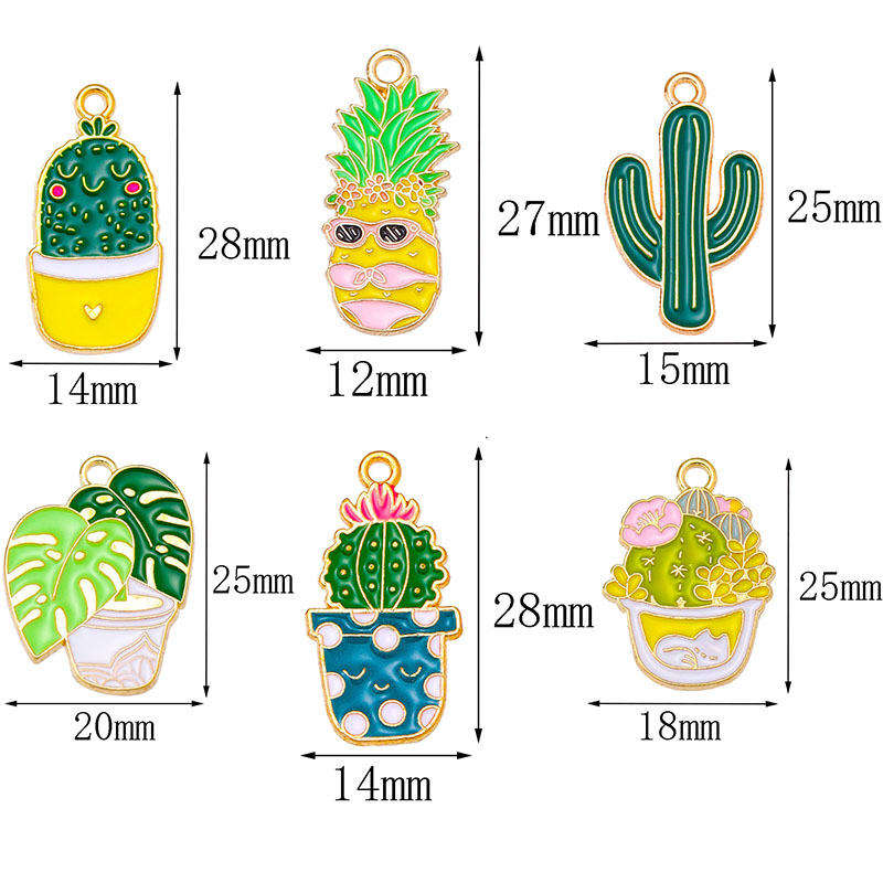 10 قطع متنوعة بـ 9 أنماط مختلف - مراجعة Cactus Mix Pot وسعره