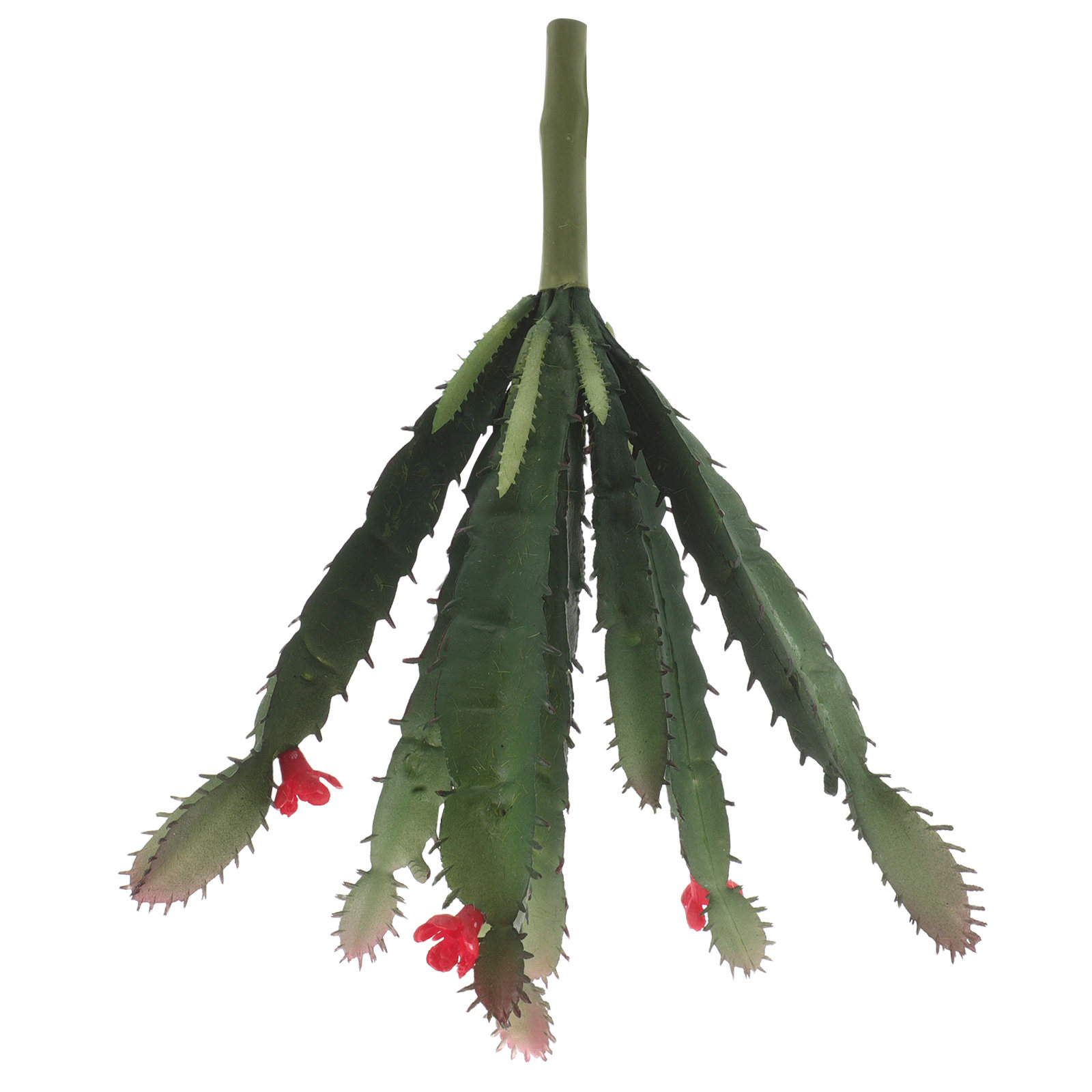 مجموعة نباتات صبار صناعية صغير - مراجعة Succulent Arrangement Mini وسعره