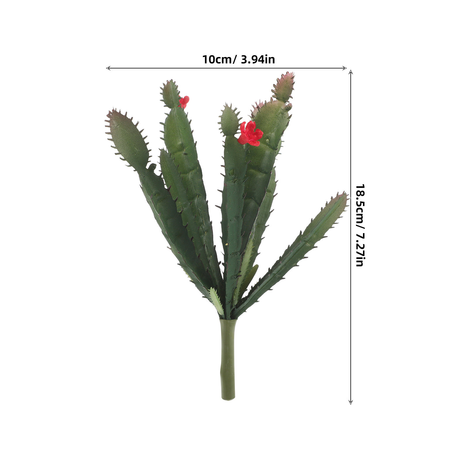 مجموعة نباتات صبار صناعية صغير - مراجعة Succulent Arrangement Mini وسعره